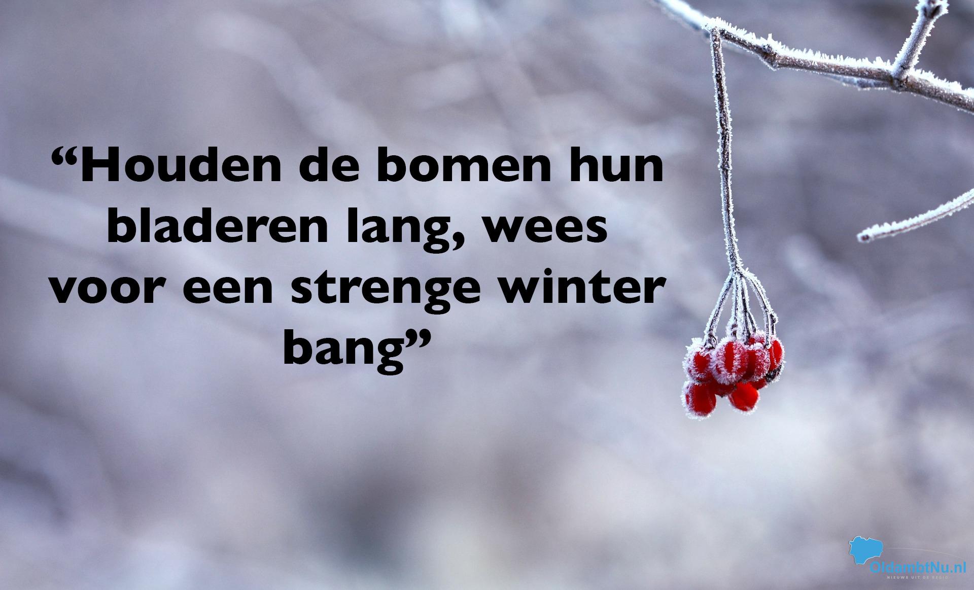 Weerspreuken voorspellen zachte en onstuimige winter; Elfstedenwinter  vrijwel uitgesloten - OldambtNu.nl