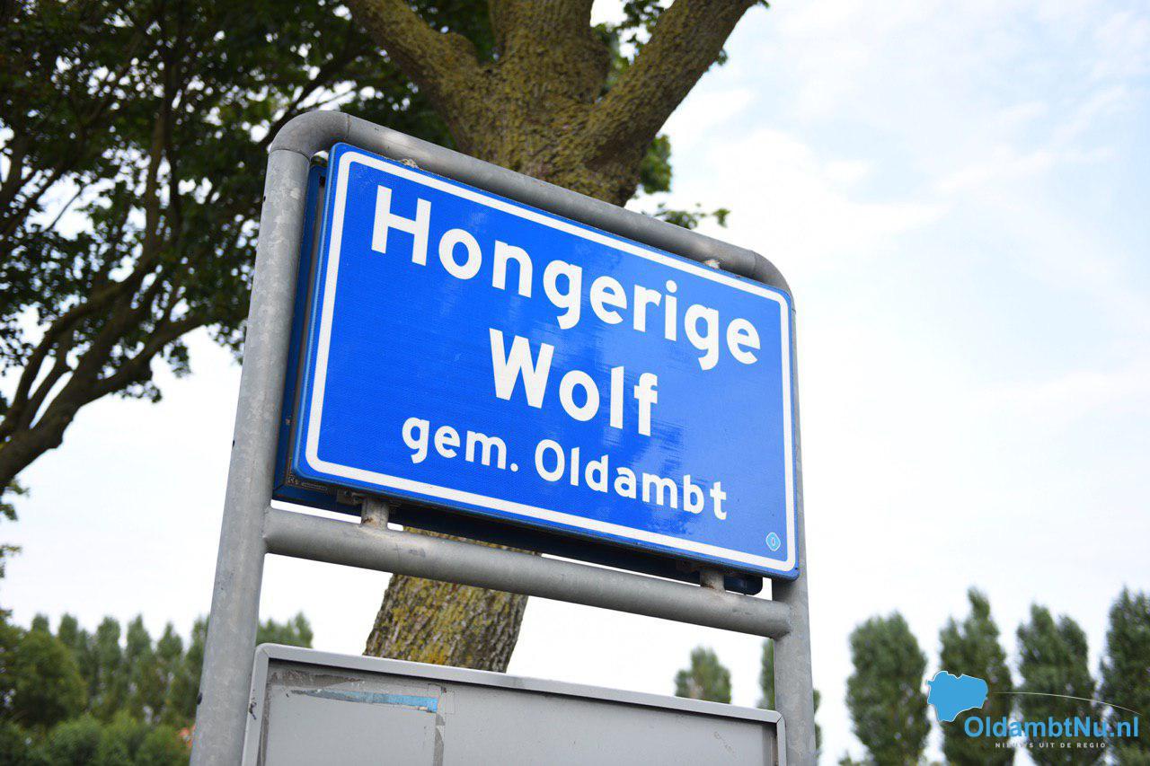 Meerdere auto’s vernield tijdens Festival Hongerige Wolf