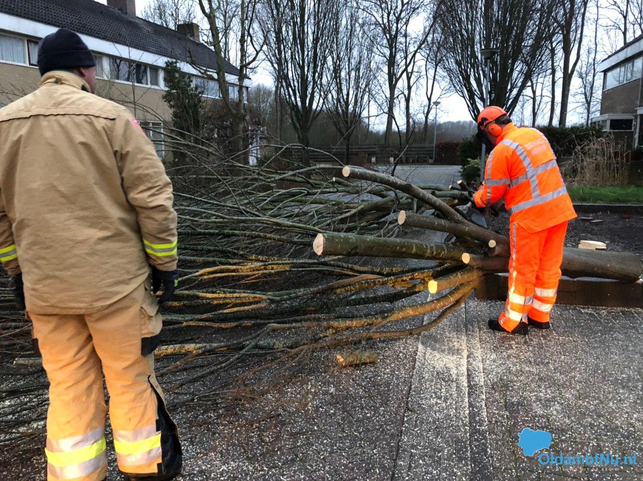Brandweer verwijderd boom in Beerta. #Oldambt