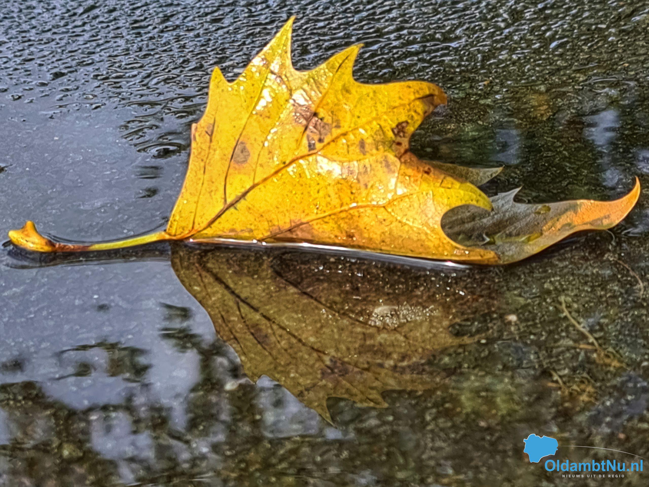 Nat eerste weekend van november