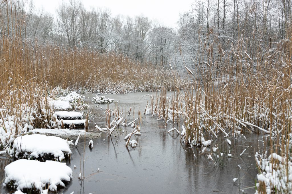 Zondag in het noordoosten grote kans op sneeuw