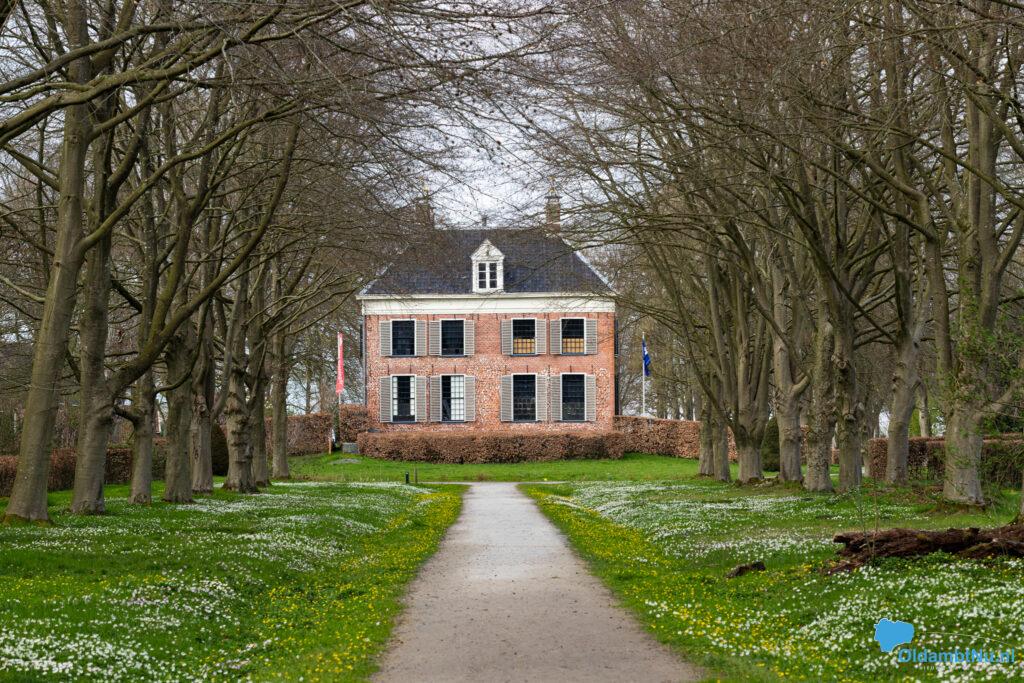 Lentewandeling in het Midwolder bos