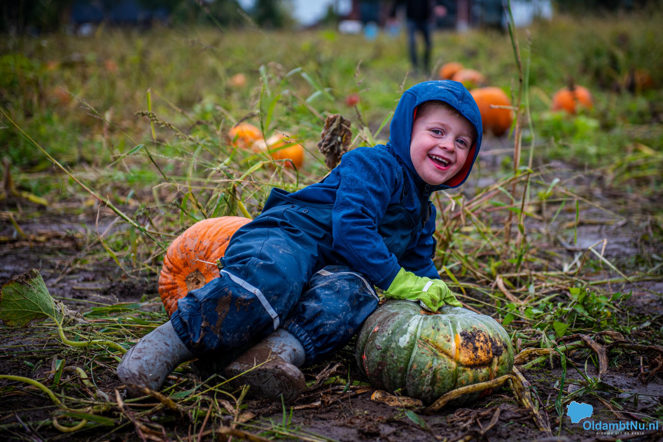 Pompoen plukdagen trekken ondanks slecht weer honderden bezoekers
