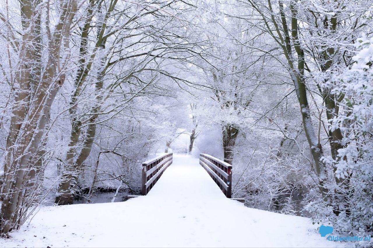 Winterse sferen in Winschoten vastgelegd
