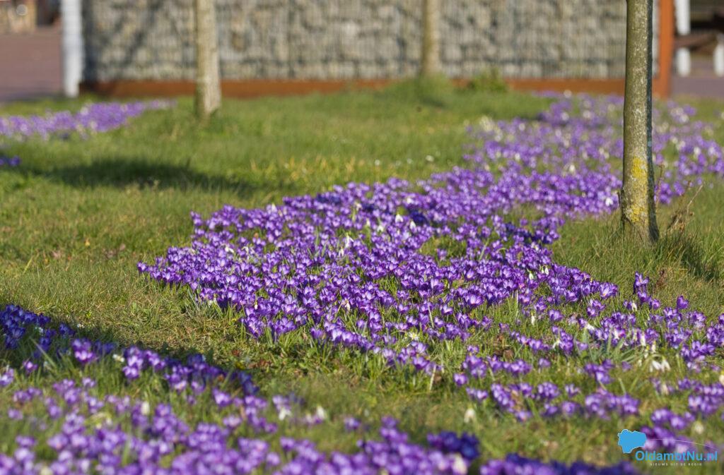Komende week droog, zonnig en warm