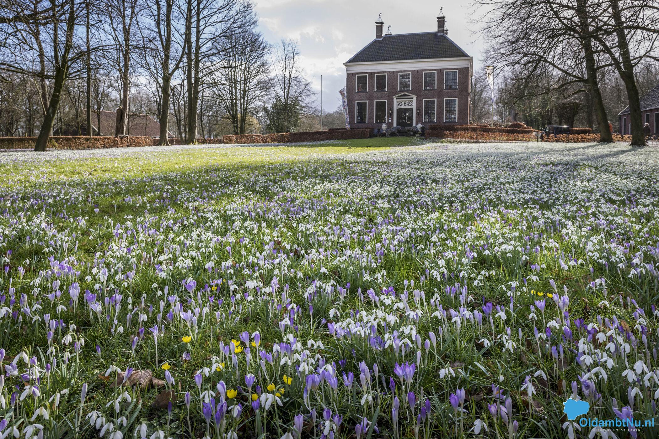 Het Groninger Landschap 90 jaar: blijvende inzet voor natuur en erfgoed