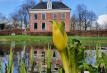 Ennemaborg