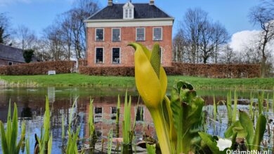Ennemaborg
