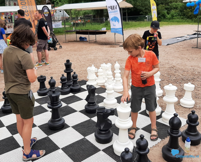 Dag van het Park in Winschoten met aandacht voor denksporten