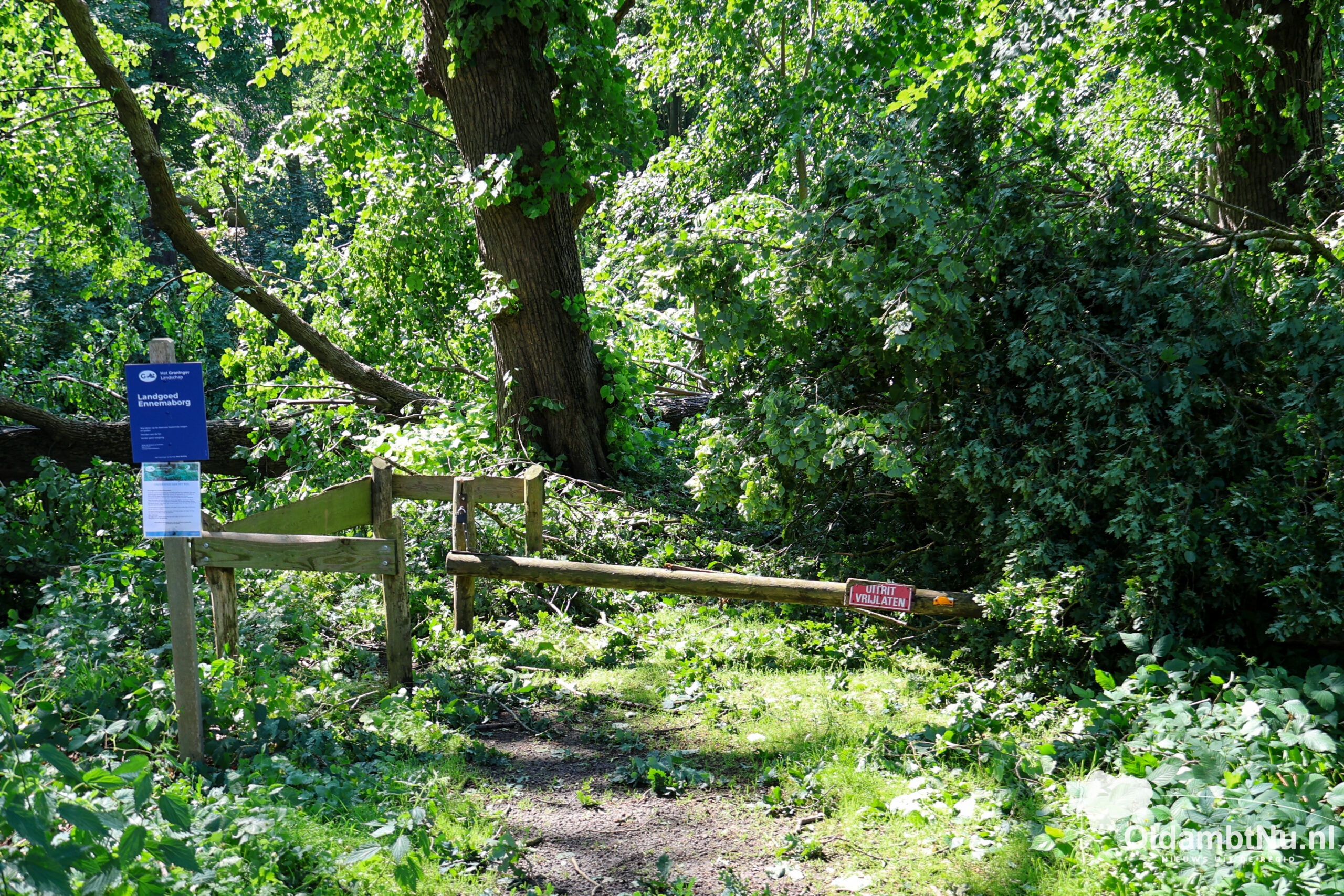 Bos rond Ennemaborg afgesloten wegens ravage