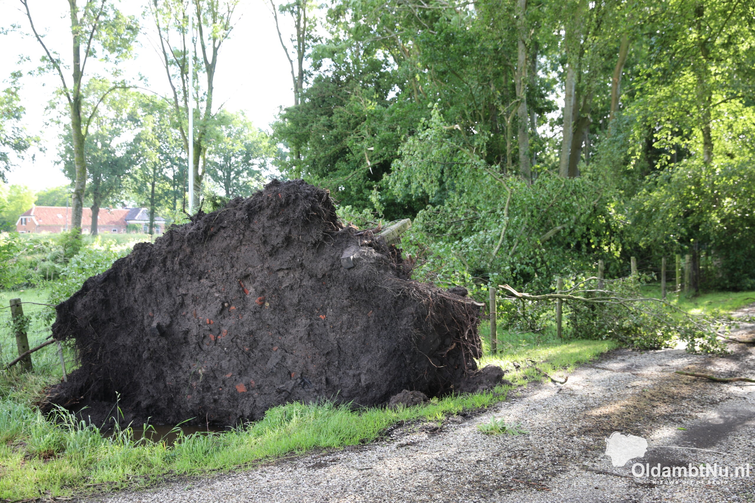 Bomen ontworteld en takken op de weg, storm houdt huis in Oldambt